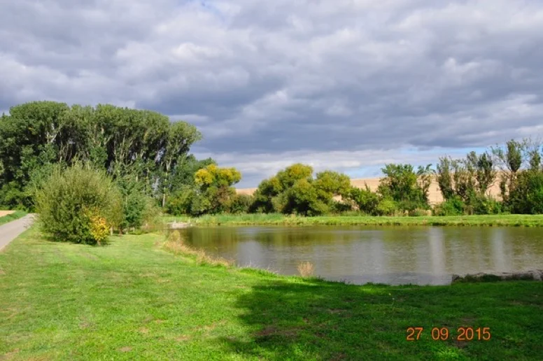 Konec léta 2015