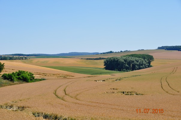 Remízky