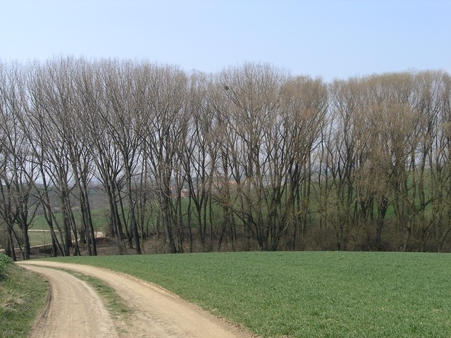 Šardičky nad horním rybníkem