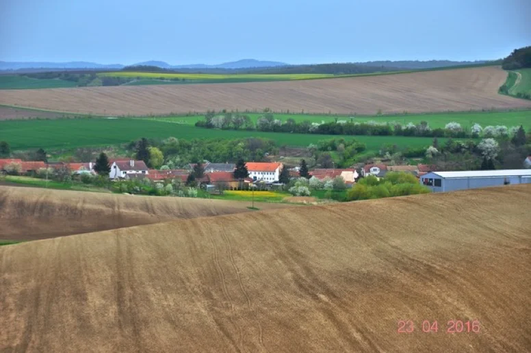 Šardičky, pohled k jihu